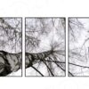 Trio de quadros árvore em preto e branco 70 x150 cm - Image 4