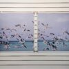 Dupla de Quadros Gaivotas 82 x 91 cm cada